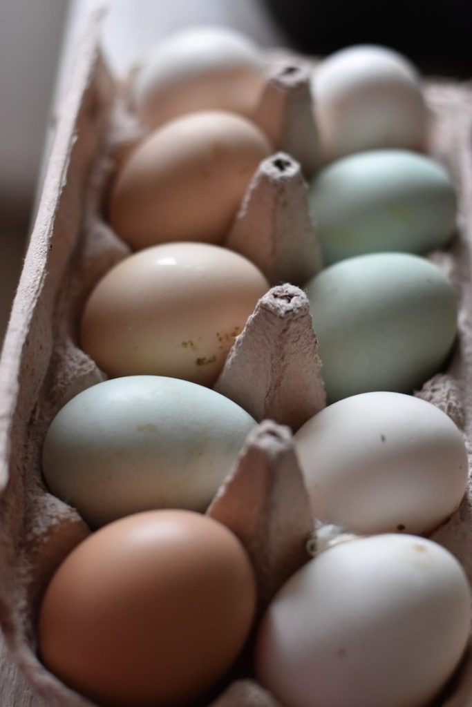 white egg on brown egg tray