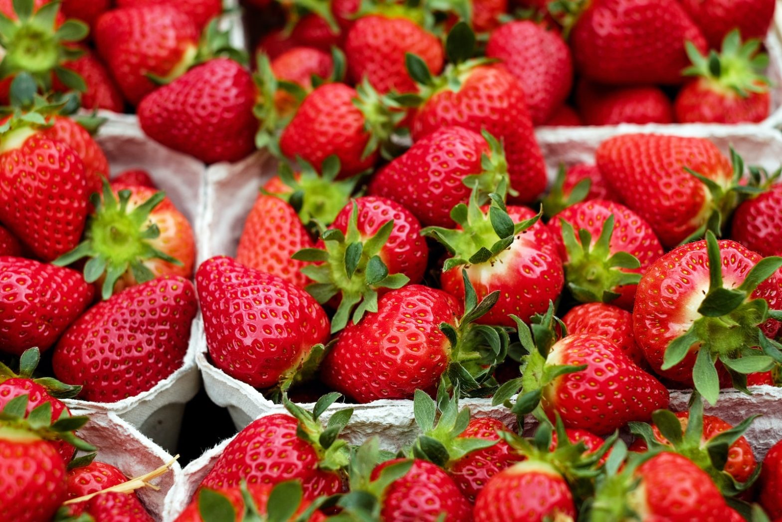strawberries on white plastic container