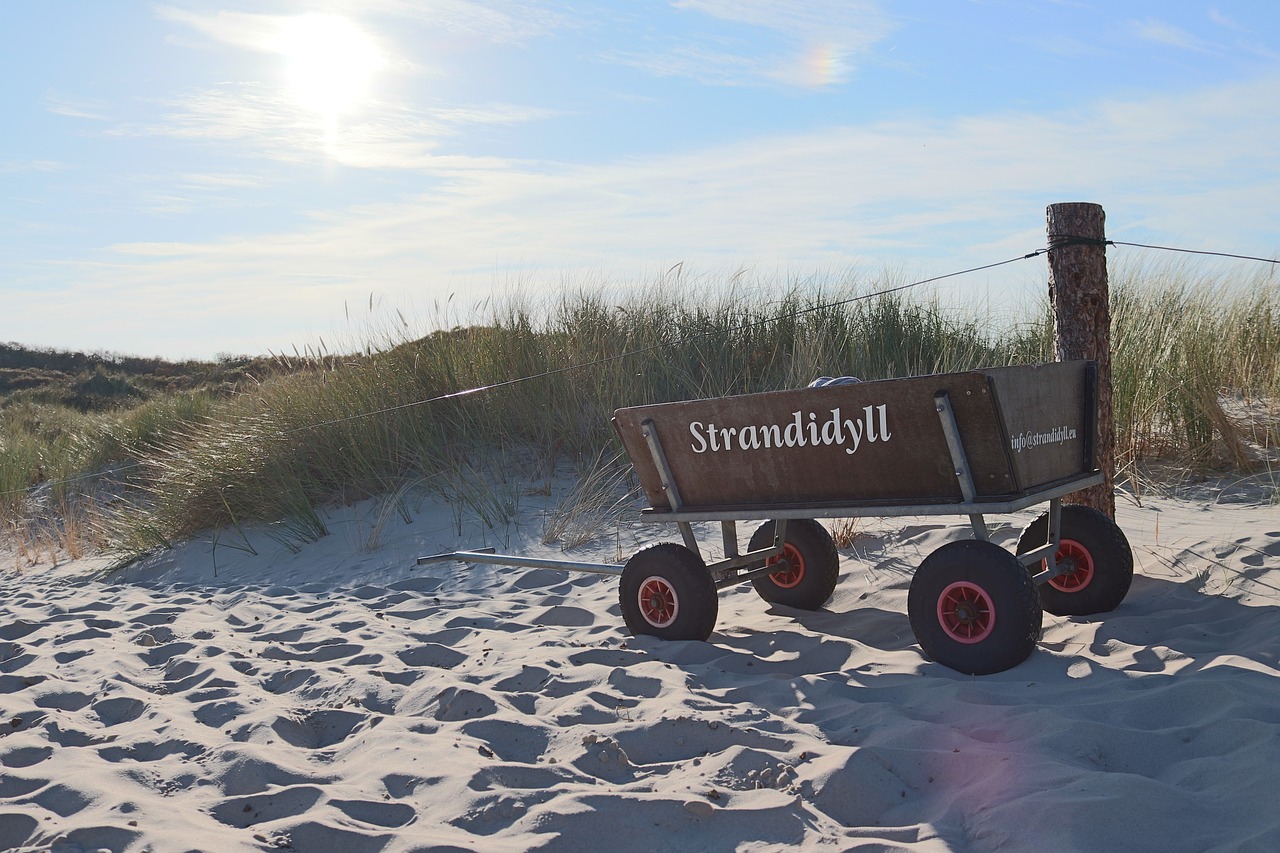 wagon, spiekeroog, sand dunes