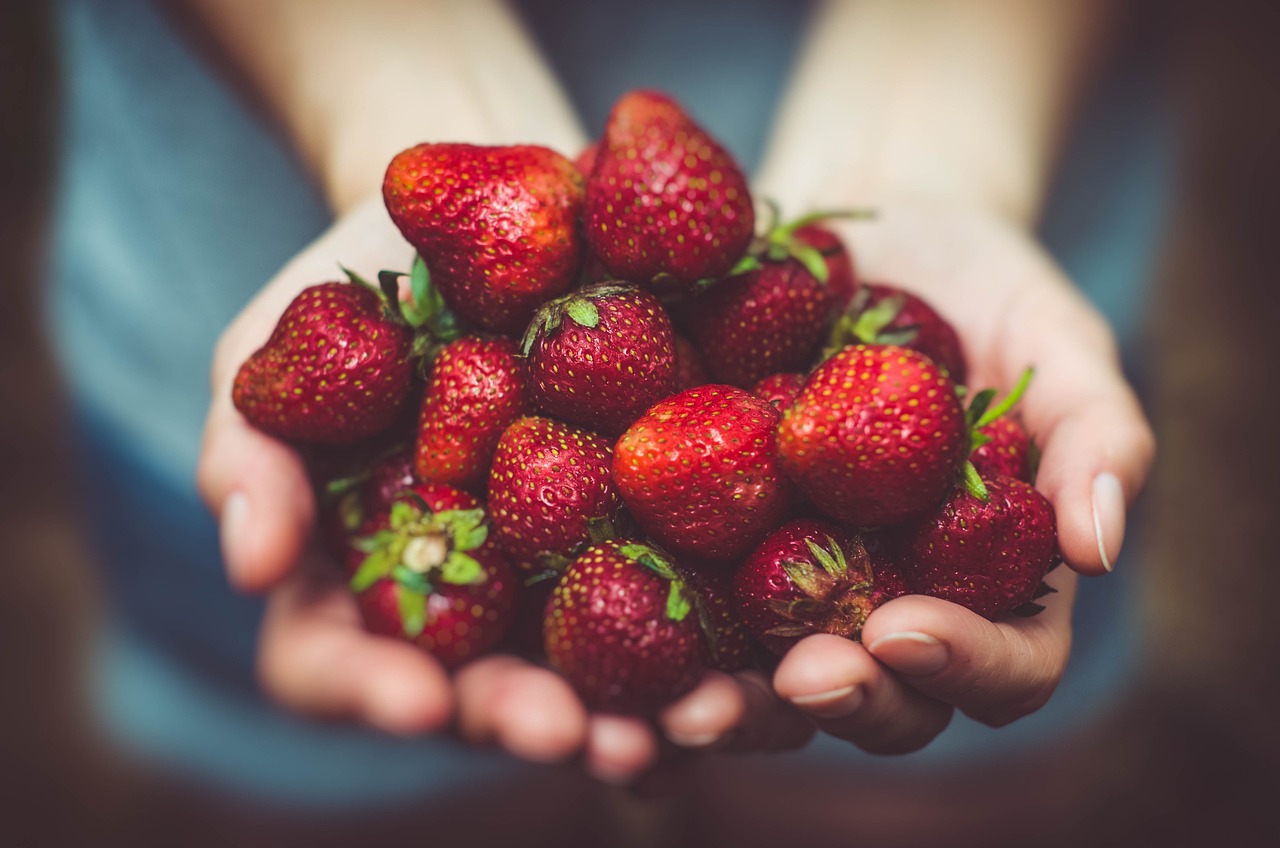 strawberries, hands, harvest