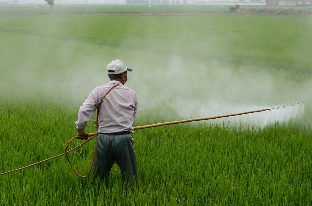herbicide, farmer, in rice field