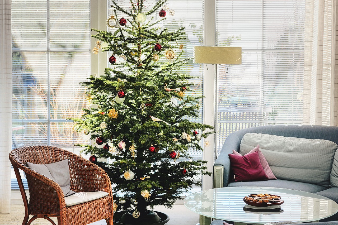 christmas tree, decoration, indoors