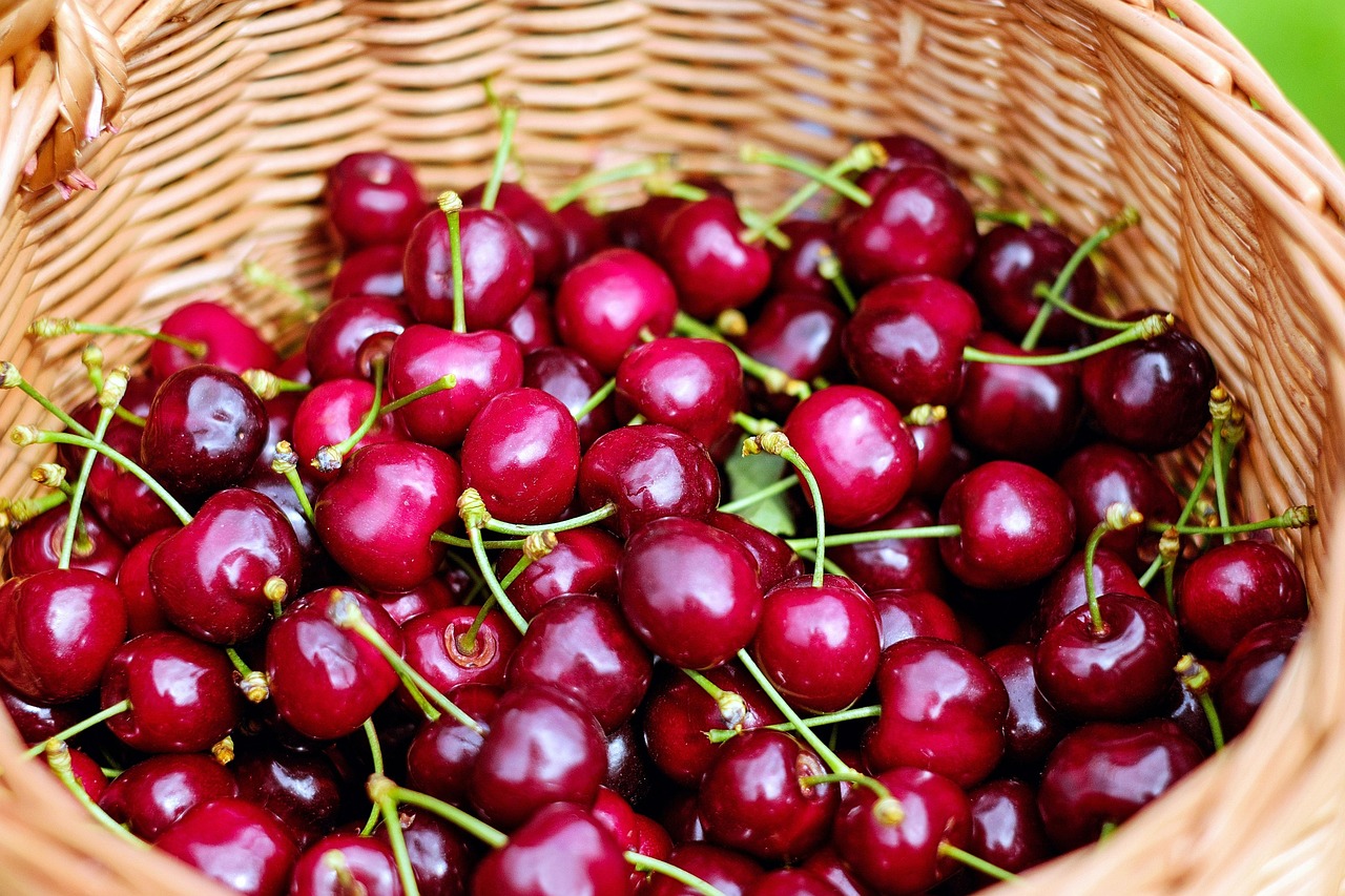 cherries, sweet cherries, red, fruit, healthy, basket, cherries, cherries, cherries, cherries, cherries
