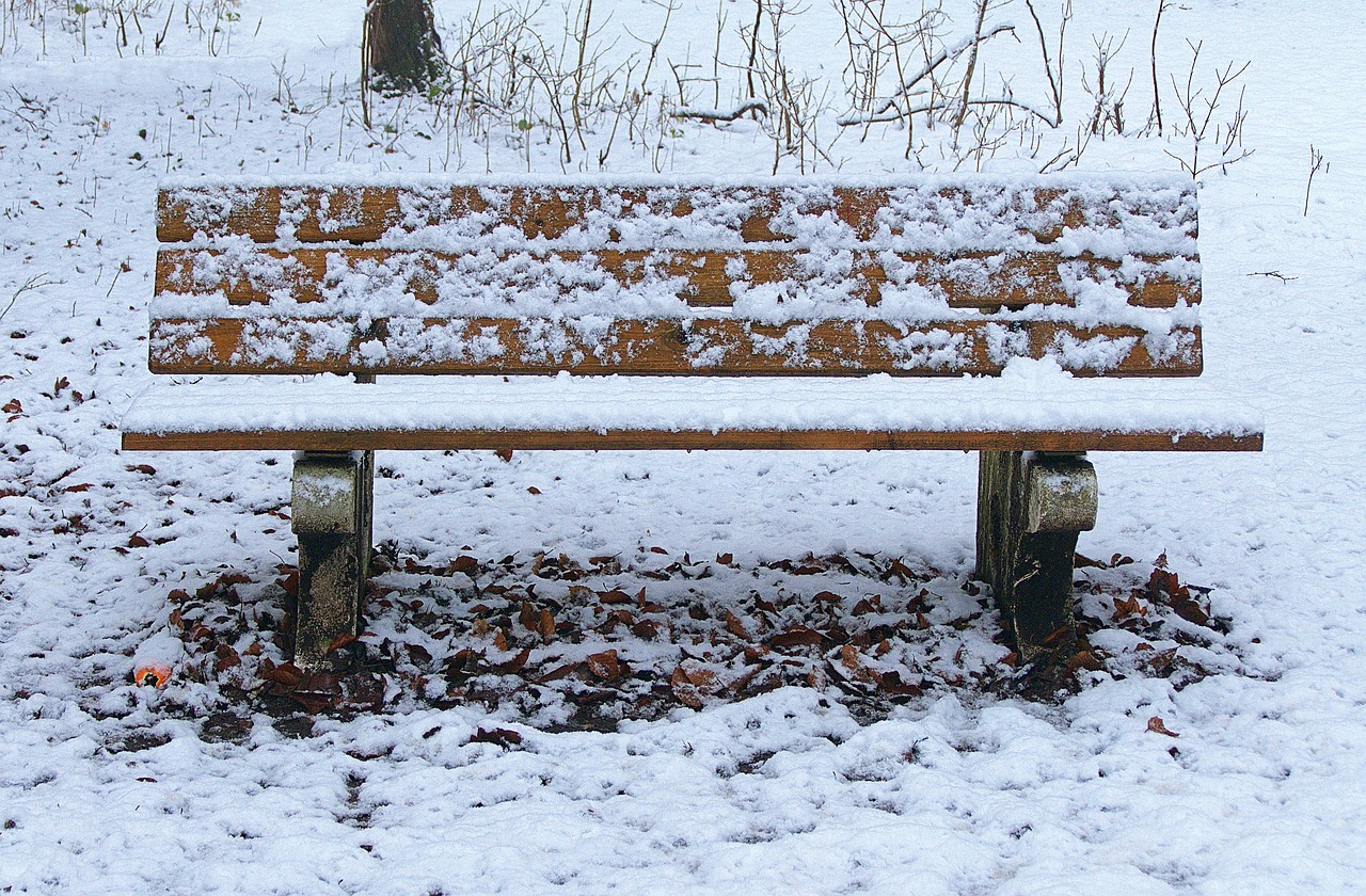 winter, nature, park, park bench, snow, landscape, frost