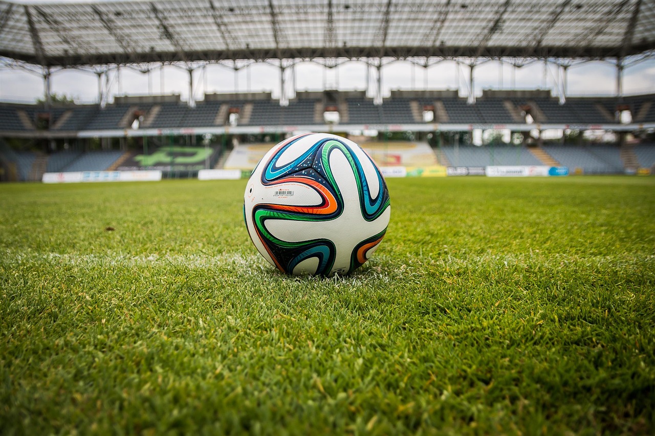 the ball, stadion, football, nature, court, grass, game, sport