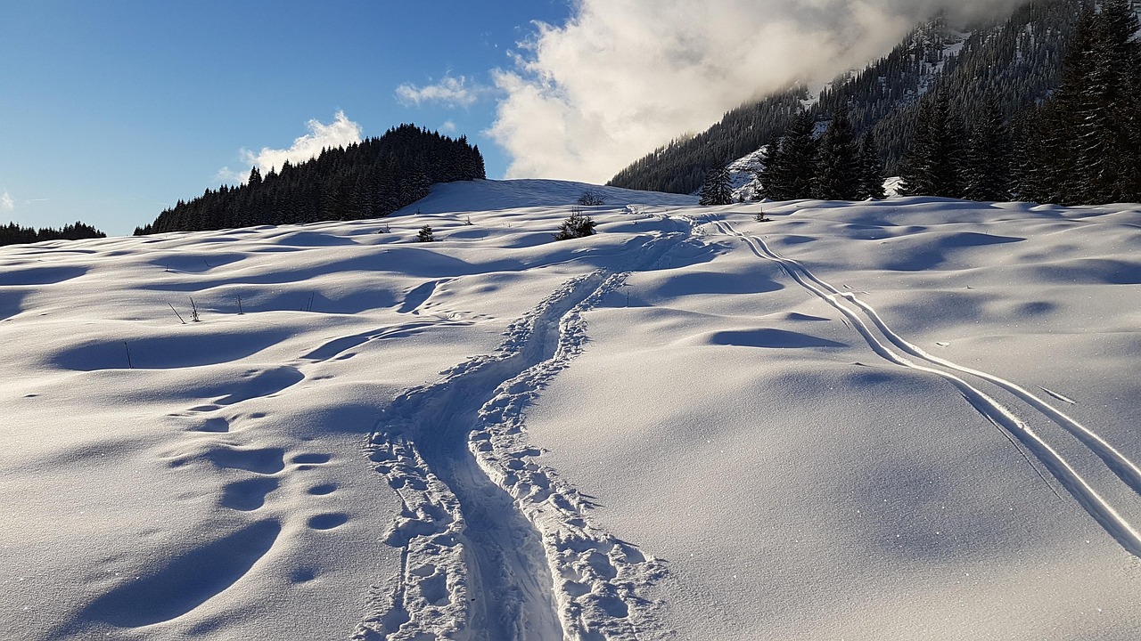 snow, winter, winter landscape, liezen, nature, backcountry skiiing, cold