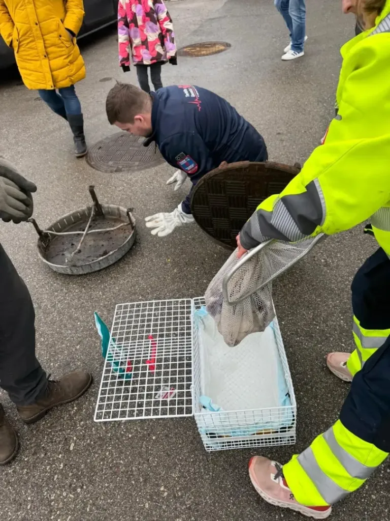 Foto: Tierhilfe Gusental