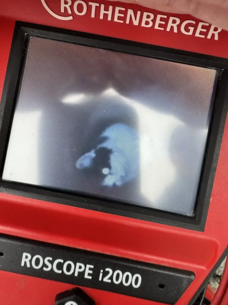 Mit einem speziellen Gerät konnte Timmy lokalisiert werden.
Foto: Tierhilfe Gusental