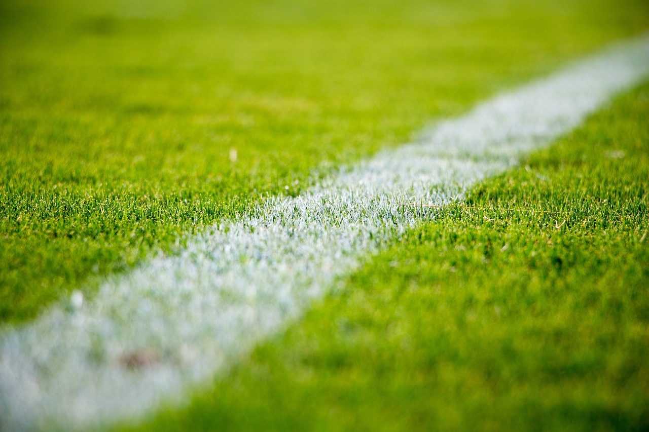 grass, lawn, field, sports, nature, soccer, football, green grass, green football, green sports, green field